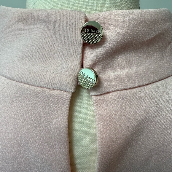 Ted Baker Pink and Red Midi Dress - Picture 5 of 5